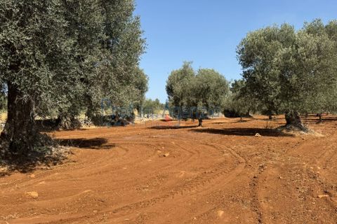 Farm hus i Ostuni, Brindisi, Ostuni - € 85.000 | Ref: 172956 - foto 20
